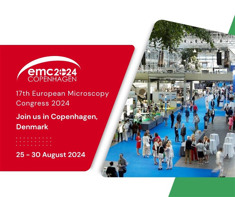 EMC 2024 - Contribución Laura MM
